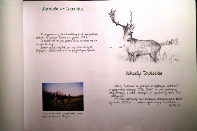 Kawałek historii